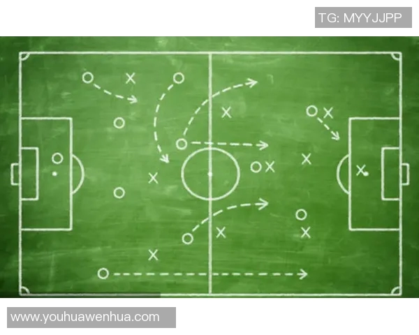 独家解读：杭州排球队意识形态的深度对比与影响分析