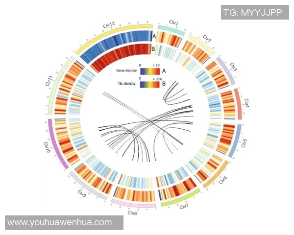 杭州乒乓球队战术解析与对比探讨全面剖析其优势与不足 杭州乒乓球队战术解析与对比探讨全面剖析其优势与不足