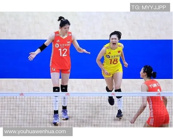 杭州排球队在全国排球团队协作排行榜中荣获第三名的佳绩分析