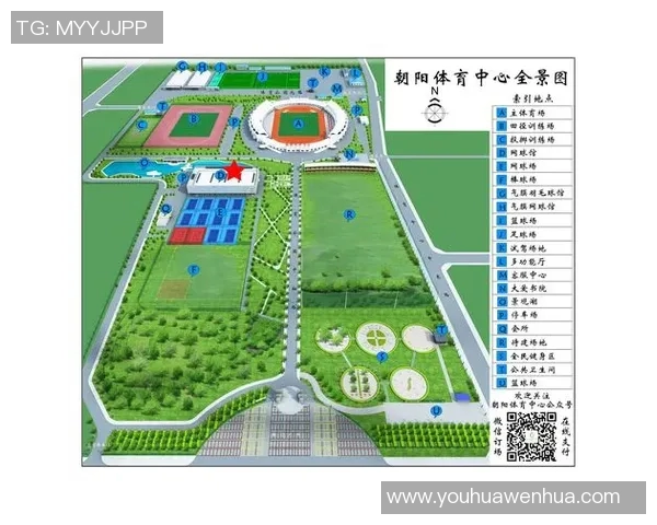 杭州羽毛球队转型之路的挑战与机遇全景探讨 杭州羽毛球队转型之路的挑战与机遇全景探讨