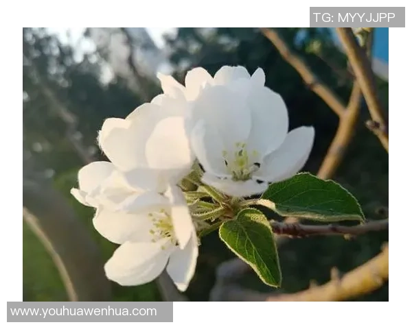 攀岩人生的深度对话:陈秀英如何在挑战中找到自我与力量 攀岩人生的深度对话:陈秀英如何在挑战中找到自我与力量