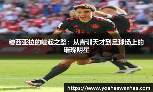 球王会网址
